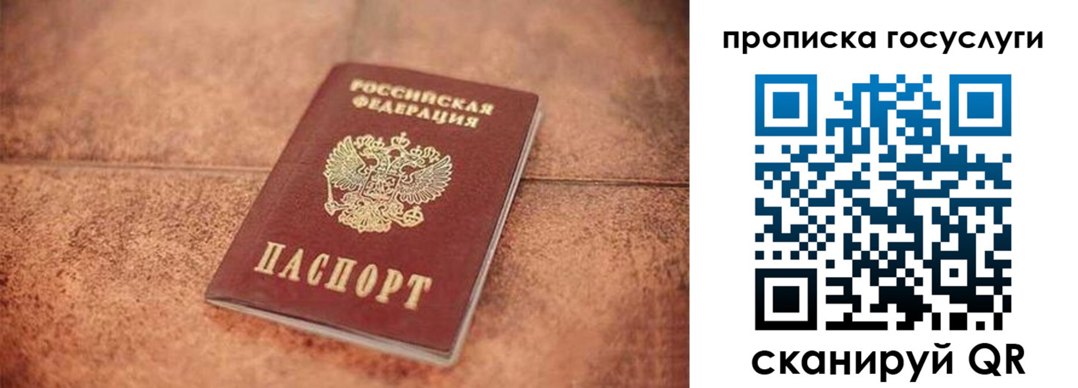 прописка законно в Цимлянске
